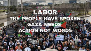 Palestine Solidarity